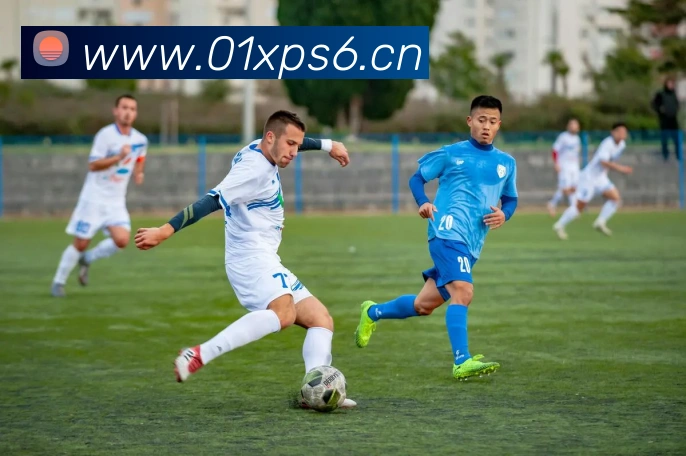 开云官方在线入口平台生态图