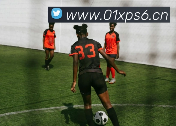 开云官方在线入口APP 封面图